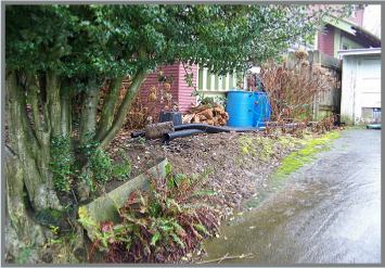 before we install sand paver walkway 